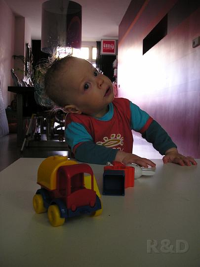 Imme 13 mei 2007 (10).JPG